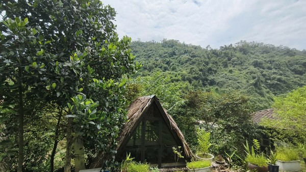 Chòi mái nhọn chữ A giữa rừng