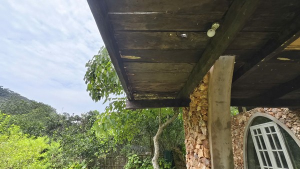 Chi tiết 07