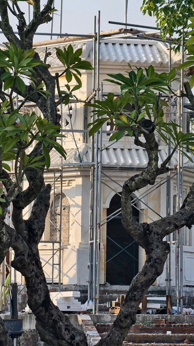 Thế cây vươn mình uyển chuyển