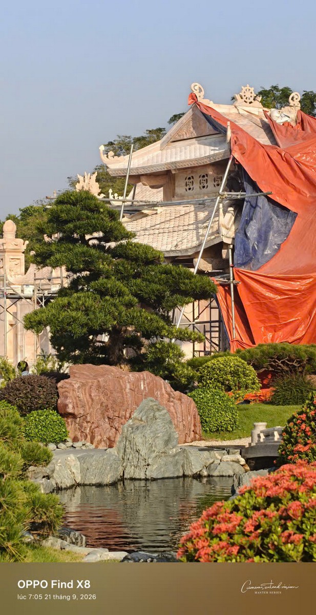 Nghệ thuật đắp tạo cây thế