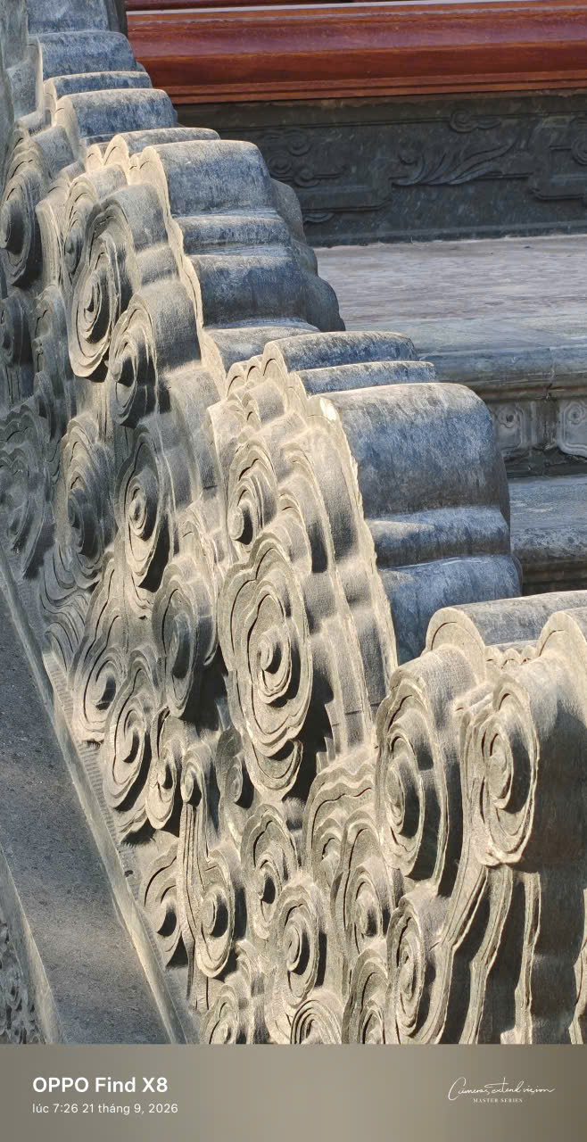 Vây lưng và đao mây uốn lượn dưới nắng