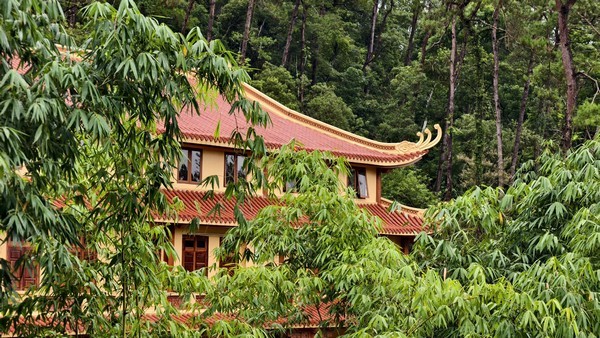 Góc mái đao cong ẩn hiện dưới tán lá