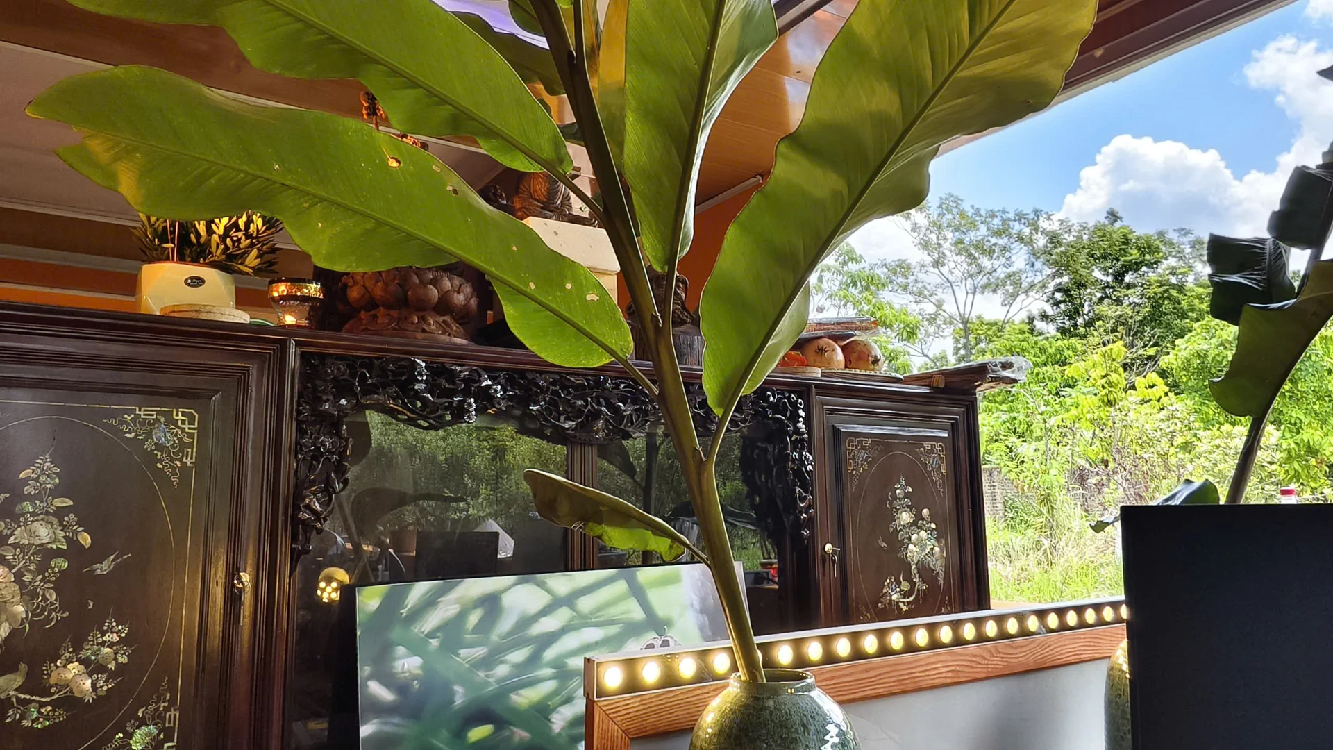 Thiết Kế, Thi Công Cổng HTX Quang Minh, Vườn Quang Minh