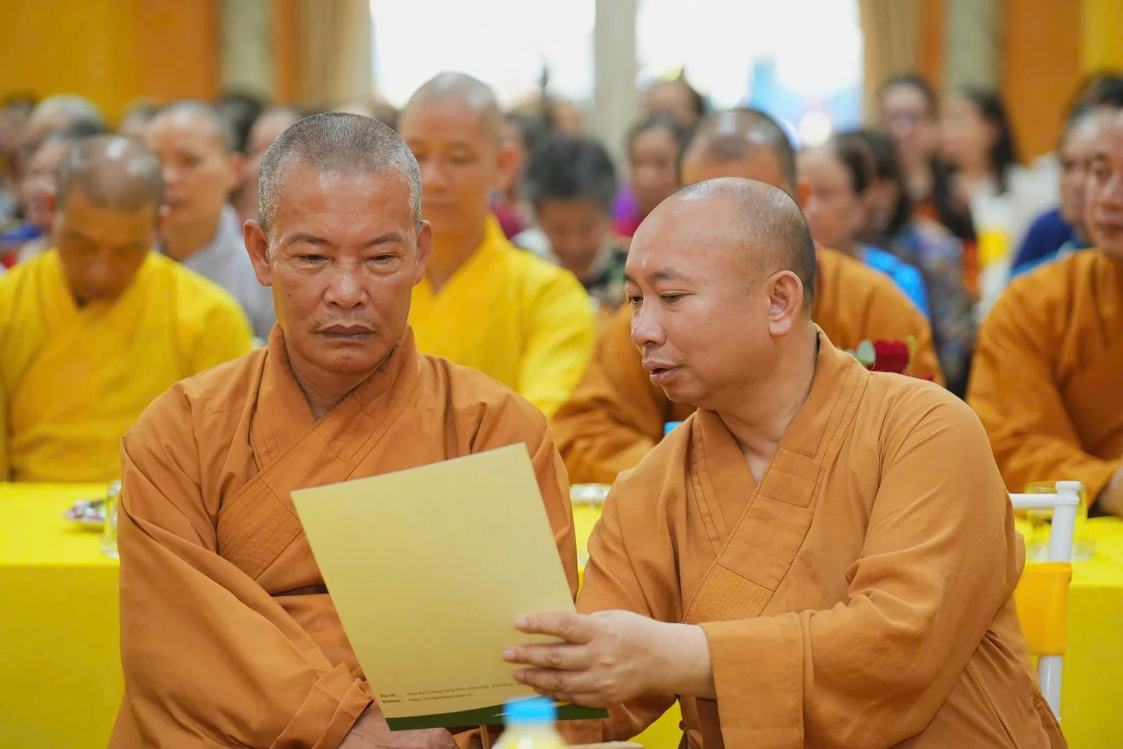 NVN Nguyễn Việt Nam "Kết nối giá trị Việt"