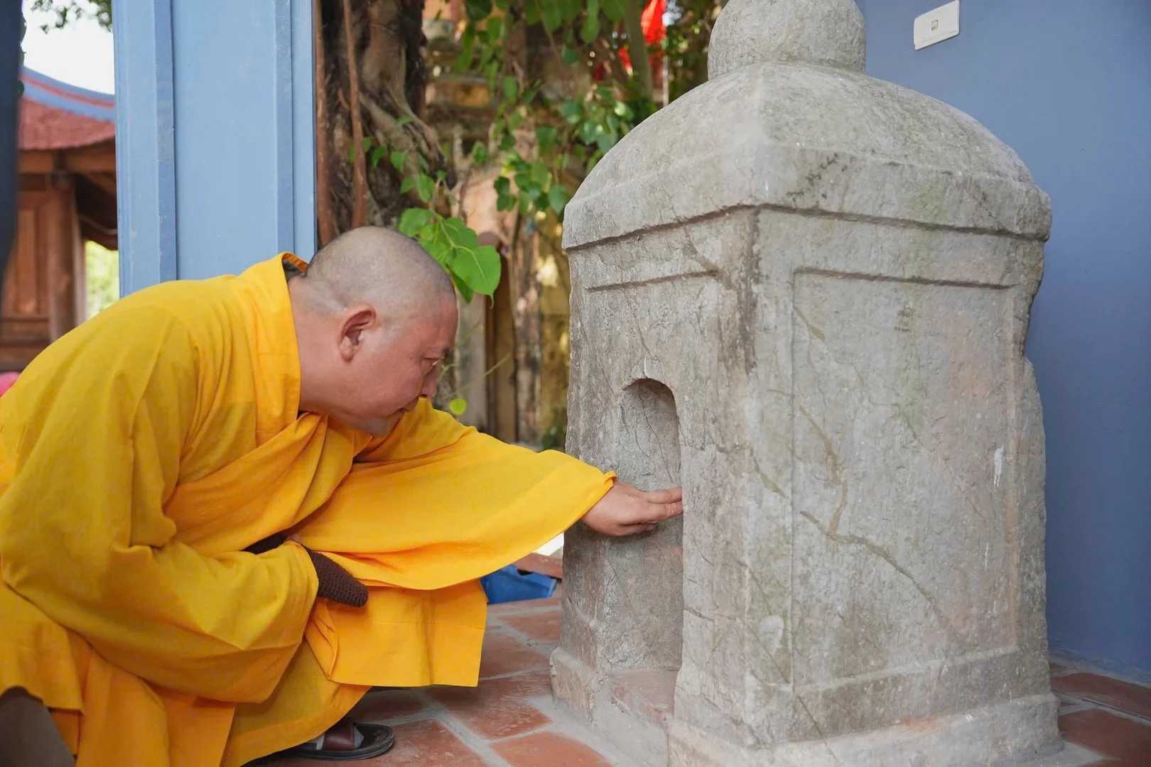 NVN Nguyễn Việt Nam "Kết nối giá trị Việt"